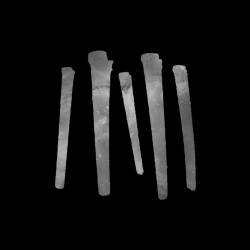 Anatomy Of Habit : Anatomy of Habit